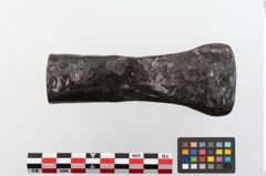 Foto von Eisendechsel (NHMW-PRAE-023817)
